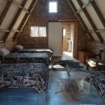 WhatsApp Image 2022-05-15 at 4.20.46 PM