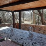 WhatsApp Image 2022-05-15 at 4.20.47 PM