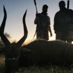 WhatsApp Image 2022-05-15 at 4.21.41 PM