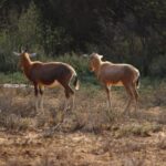 WhatsApp Image 2022-05-15 at 4.21.57 PM