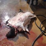 WhatsApp Image 2022-05-15 at 4.21.58 PM