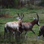 WhatsApp Image 2022-05-15 at 4.21.59 PM