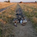 WhatsApp Image 2022-05-15 at 4.24.48 PM