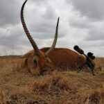 WhatsApp Image 2022-05-15 at 4.25.15 PM