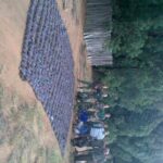 WhatsApp Image 2022-05-15 at 4.25.20 PM