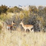 WhatsApp Image 2022-05-15 at 4.26.55 PM