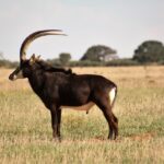 WhatsApp Image 2022-05-15 at 4.29.44 PM (1)