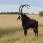 WhatsApp Image 2022-05-15 at 4.29.46 PM