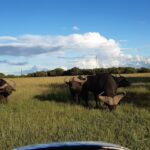 WhatsApp Image 2022-05-15 at 4.29.54 PM