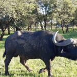 WhatsApp Image 2022-05-15 at 4.29.55 PM (1)