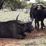 WhatsApp Image 2022-05-15 at 4.29.58 PM