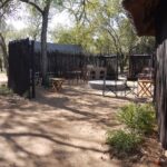 WhatsApp Image 2022-05-24 at 3.30.27 PM