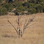 WhatsApp Image 2023-07-04 at 09.46.13