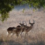 WhatsApp Image 2023-07-04 at 09.46.13 (2)