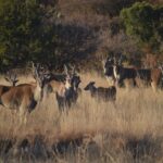 WhatsApp Image 2023-07-04 at 09.46.14