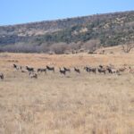 WhatsApp Image 2023-07-04 at 09.46.15