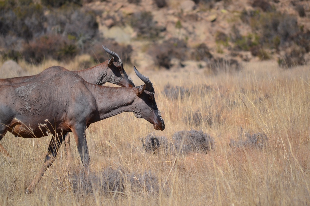 WhatsApp Image 2023-07-04 at 09.46.15 (3)