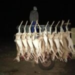 WhatsApp Image 2023-07-04 at 10.16.30 (2)