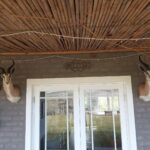 WhatsApp Image 2023-07-04 at 10.16.34 (2)