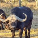 WhatsApp Image 2024-05-19 at 15.27.15_8a016d7f