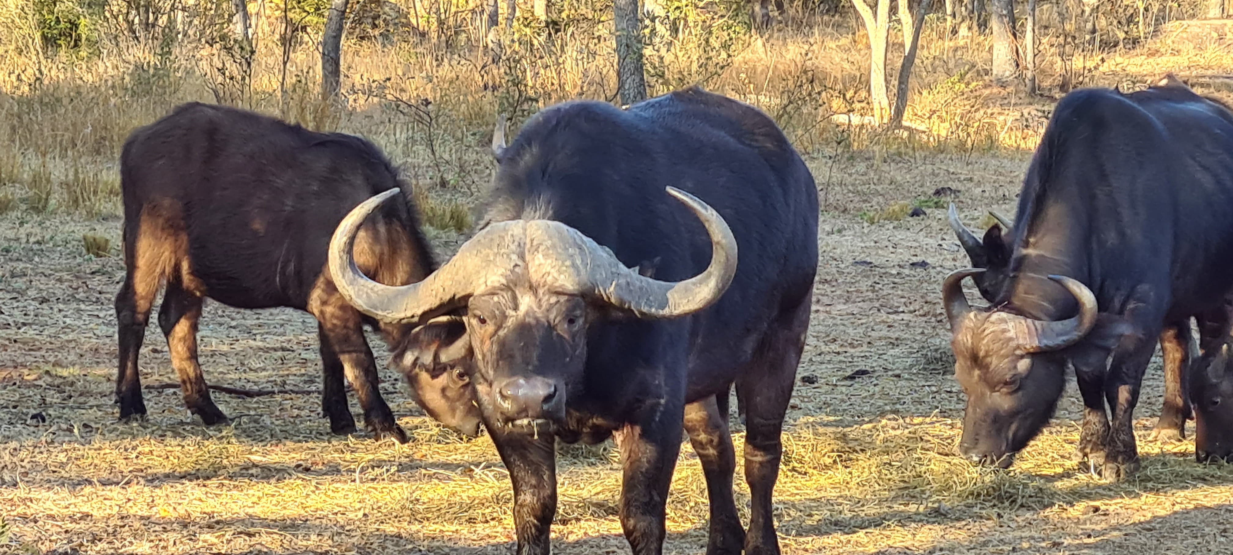 WhatsApp Image 2024-05-19 at 15.27.15_8a016d7f