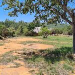 WhatsApp Image 2024-05-19 at 15.27.45_19b8c062