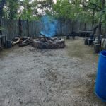 WhatsApp Image 2024-05-19 at 15.27.47_4bb5439c