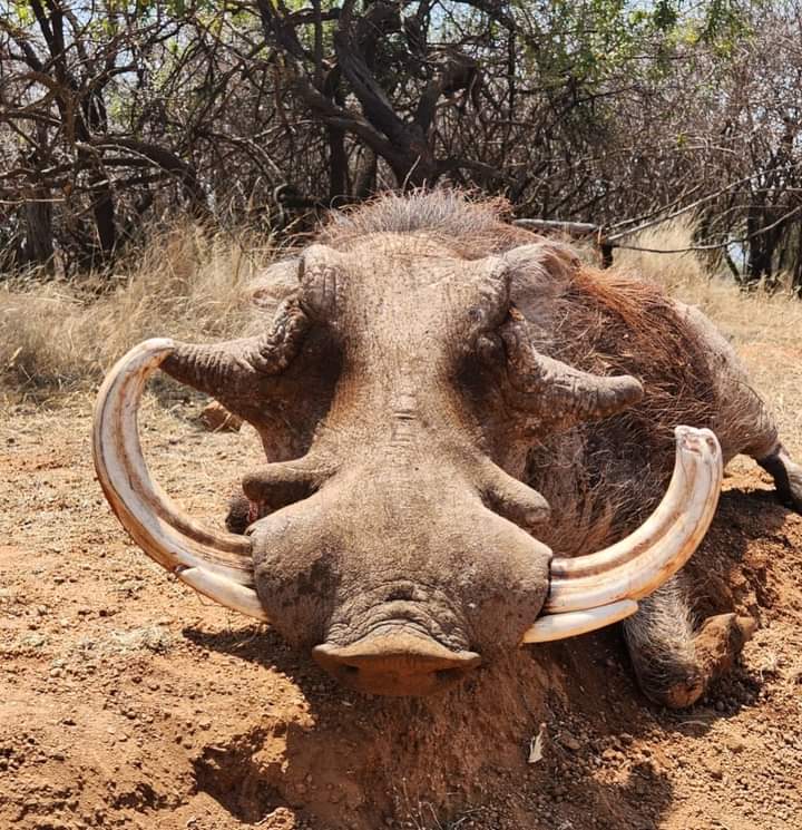 WhatsApp Image 2024-07-07 at 11.34.17_3ffcca5b