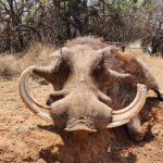 WhatsApp Image 2024-07-07 at 11.34.17_3ffcca5b