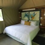 WhatsApp Image 2024-07-07 at 11.34.28_d91ee552